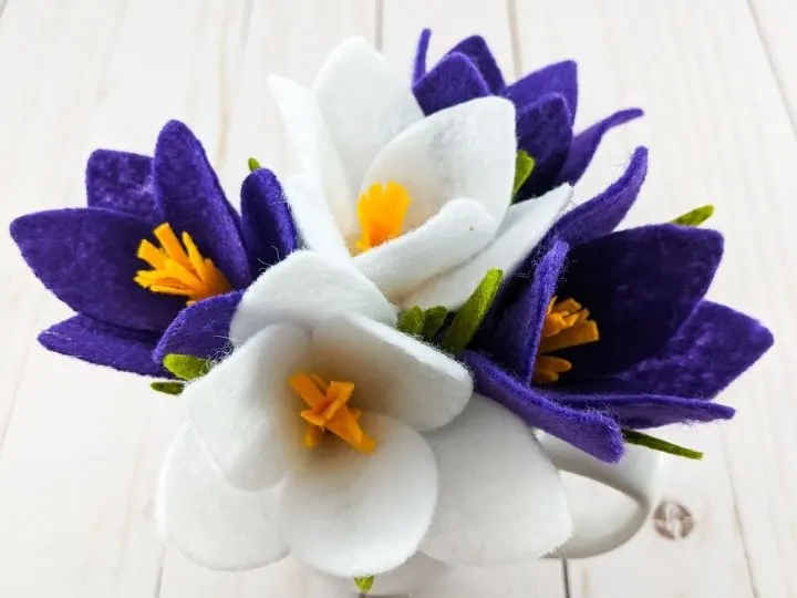 5 fleurs crocus en feutre blanc et mauve